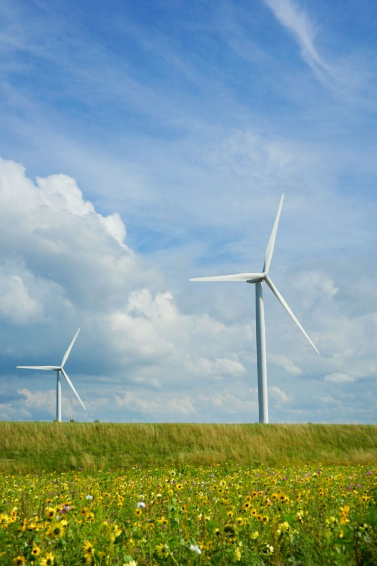 Tuulivoima: Puhtaan energian tulevaisuus