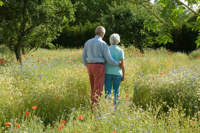 Kuinka varmistaa huoleton eläkeaika